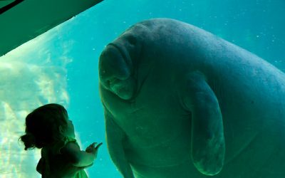 Aula 7/8  — 19 março